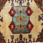 Pile Rugs - Small (under 120cm long)