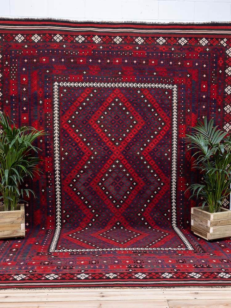 11797 Large Over Size Fine Afghan Ghalmouri Kilim Rug 300x413cm (9.10 x 13.6ft)