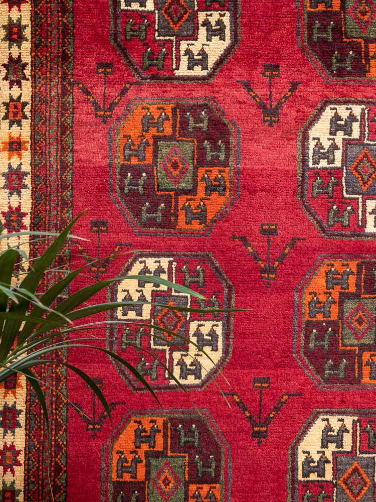 12011 Persian Tribal Kurdi Gouchan Carpet 226x301cm (7.5 x 9.10ft)