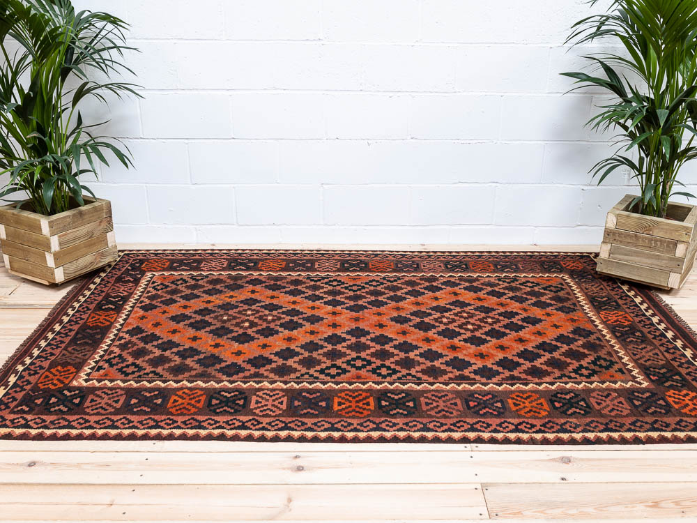 12022 Fine Afghan Ghalmouri Kilim Rug 155x253cm (5.1 x 8.3ft)