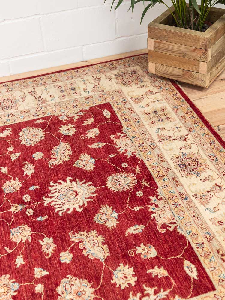 12529 Large Fine Afghan Ziegler Pile Carpet 211x303cm (6.11 x 9.11ft)