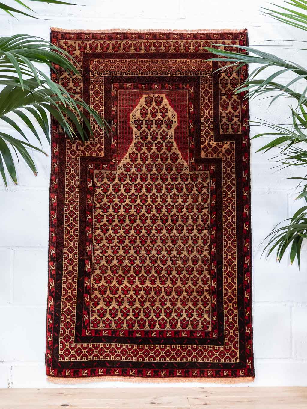 Baluch herat yaqab khani 専用ページ！ Amazon.com: BSD Organics Herby Haritaki/Kadukkai/harde Whole